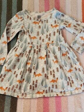 Winter Water Factory 3t Organic Cotton Blue Fox Print Long Sleeve Dress Winter